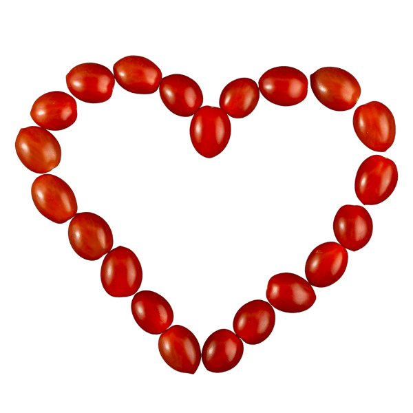 Visuel site Viva Gusto - concept